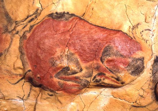 تصویر 7- گاو وحشی زخمی، غار آلتامیرا، اسپانیا، حدود ۱۵ تا 10 هزار سال پیش از میلاد